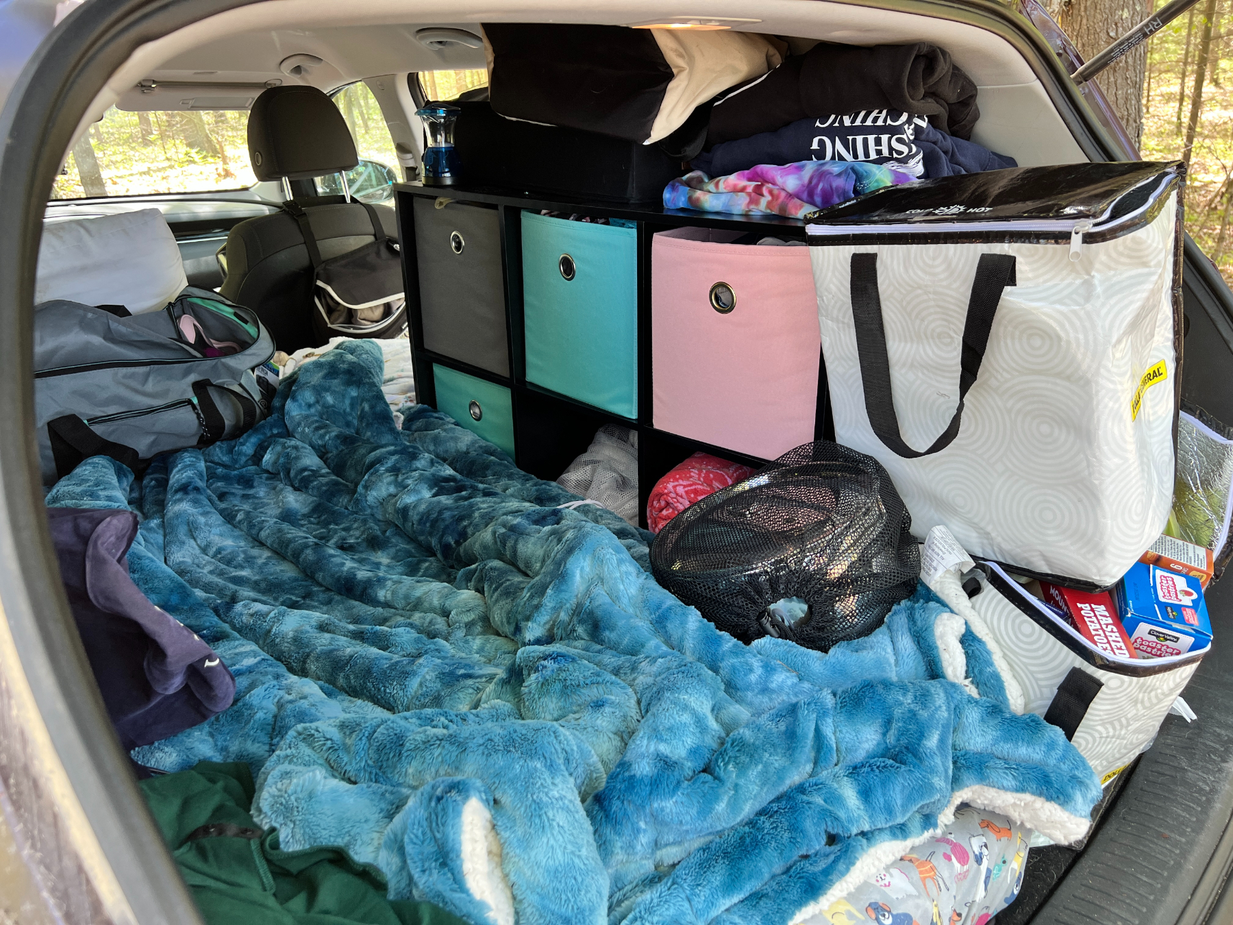 The back of Ruby's Kia