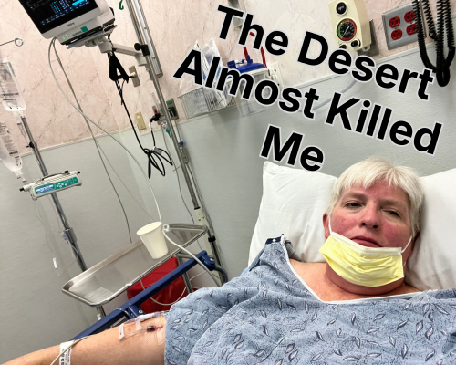 the desert almost killed me